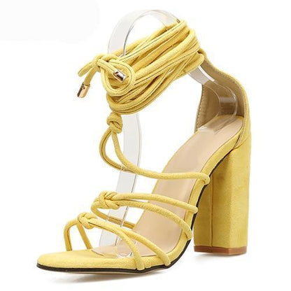 Roman Strap Shoes Women Sandals Sexy Sandals Solid High Heels Woman Ankle Boots