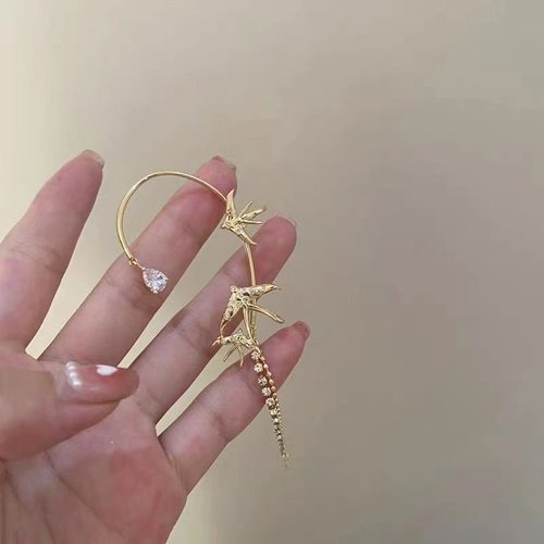 Zircon tassel earrings